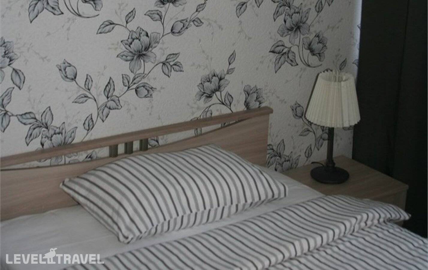 фотографии отеля Чемодан в Россия(Псков) - фото №12