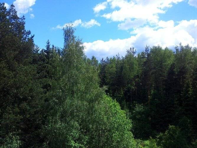 Philisa Na Turbaze