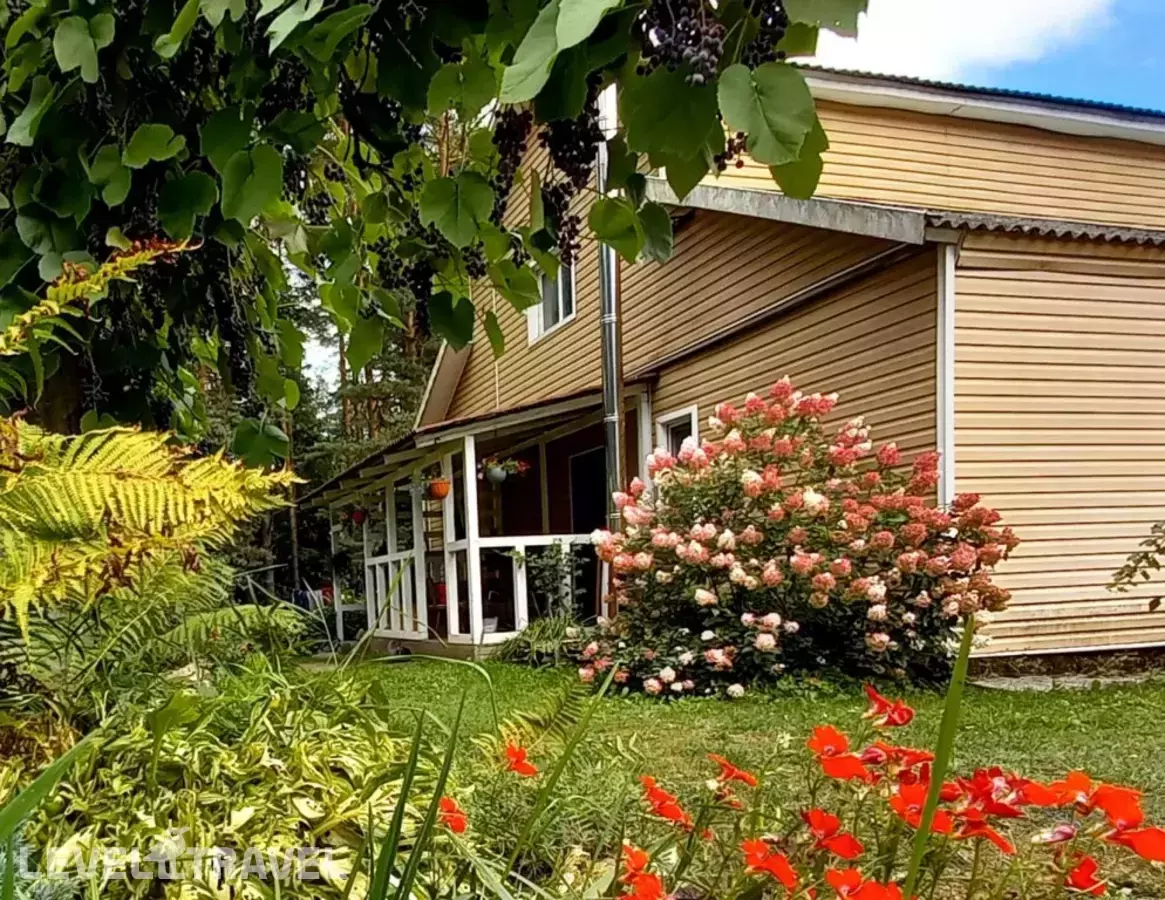 Дом У Сосен