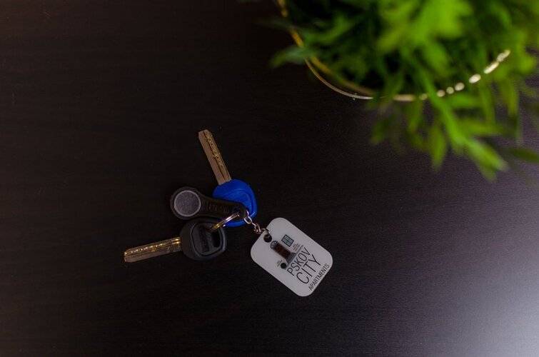 Апартаменты Pskov City Apartments Lagernaya 5 A