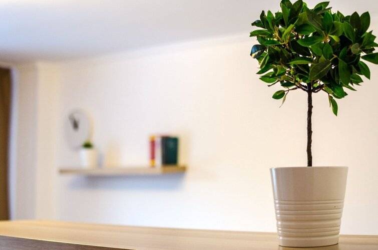 Апартаменты Pskov City Apartments Lagernaya 5 A