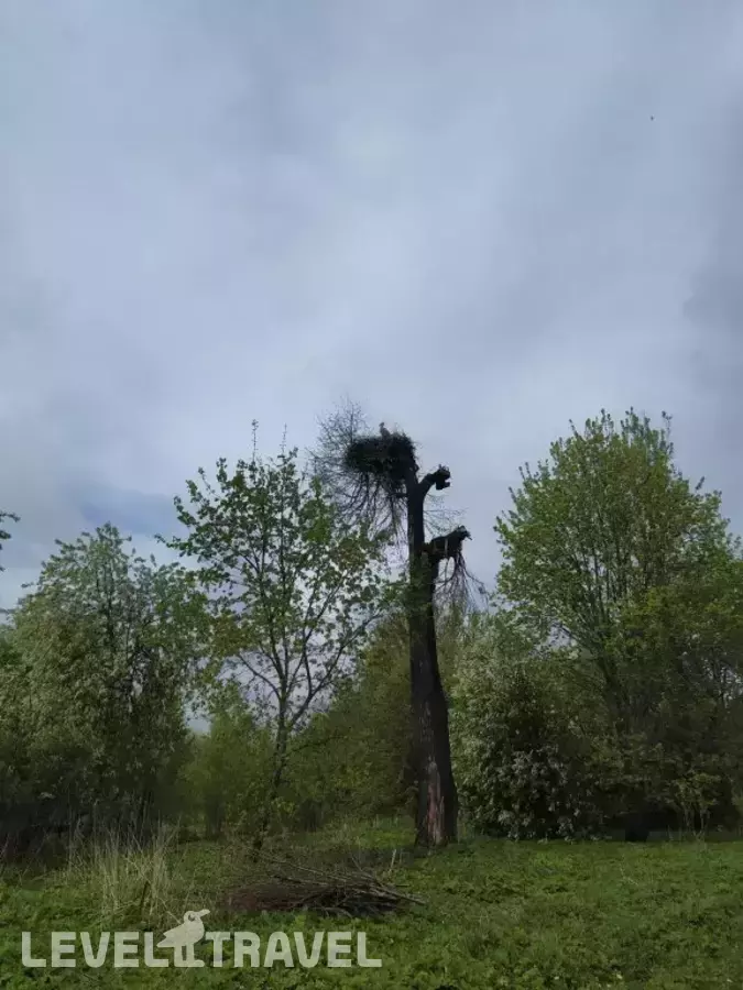 Гостевой Дом Косохново