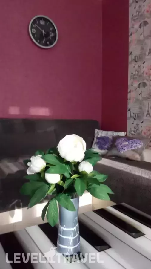 Апартаменты Турбаза 1