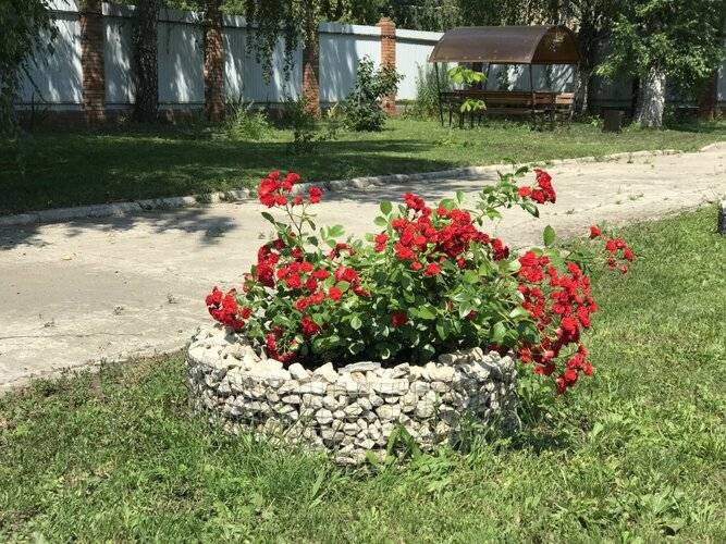 Гостиница Баргузин