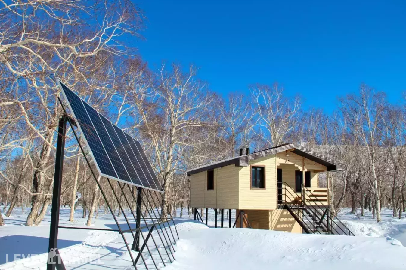 Kamchatka Magic Wood