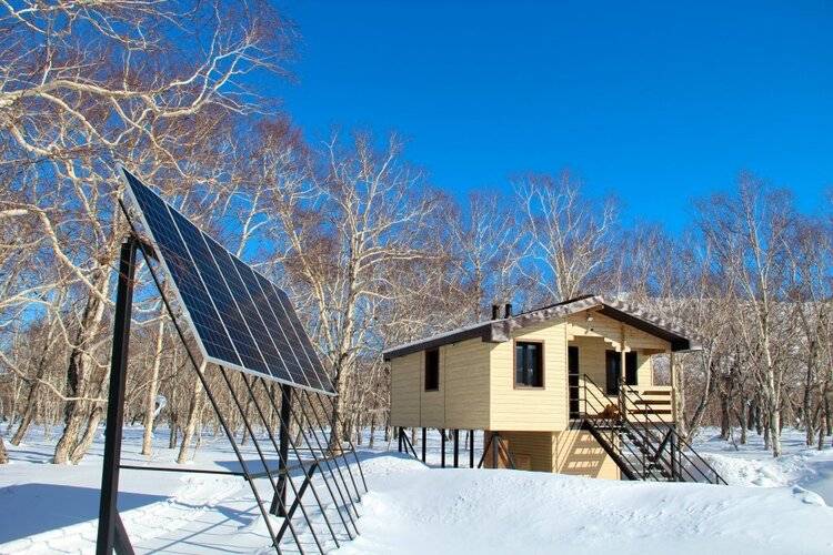 Kamchatka Magic Wood