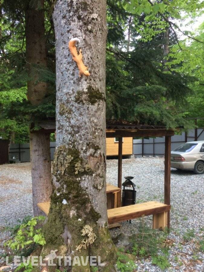 фотографии отеля База отдыха В гостях у сказки в Россия(Архыз) - фото №21