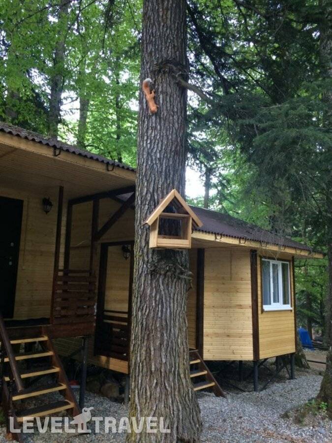 фотографии отеля База отдыха В гостях у сказки в Россия(Архыз) - фото №3