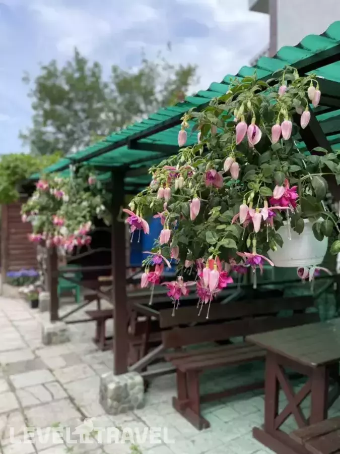 Гостевой дом Олива