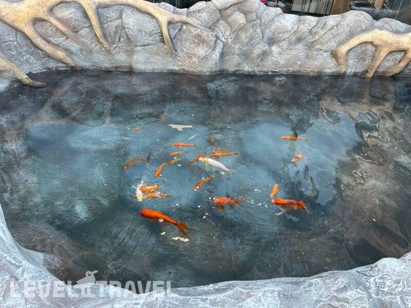 Фотография Гостевой дом Грант