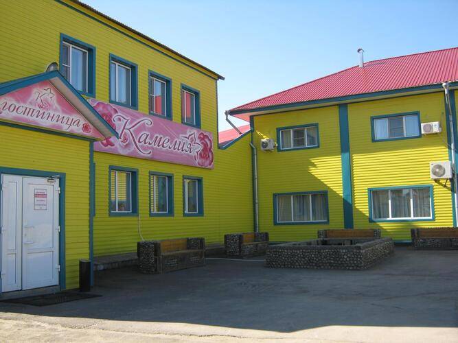 Камелия