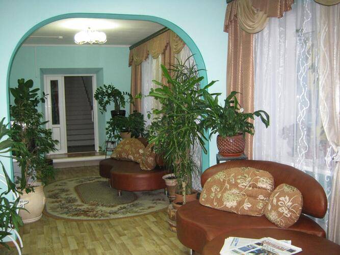 Камелия