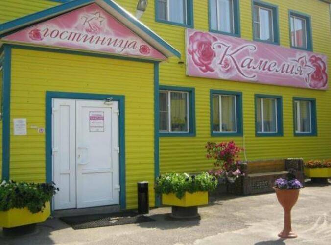 Камелия