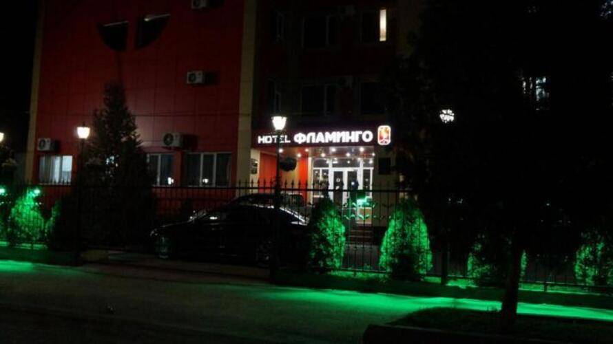 Фламинго