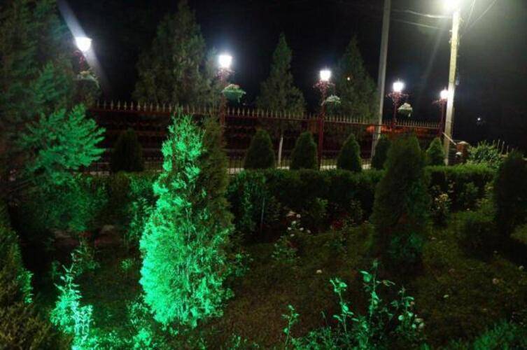 Фламинго