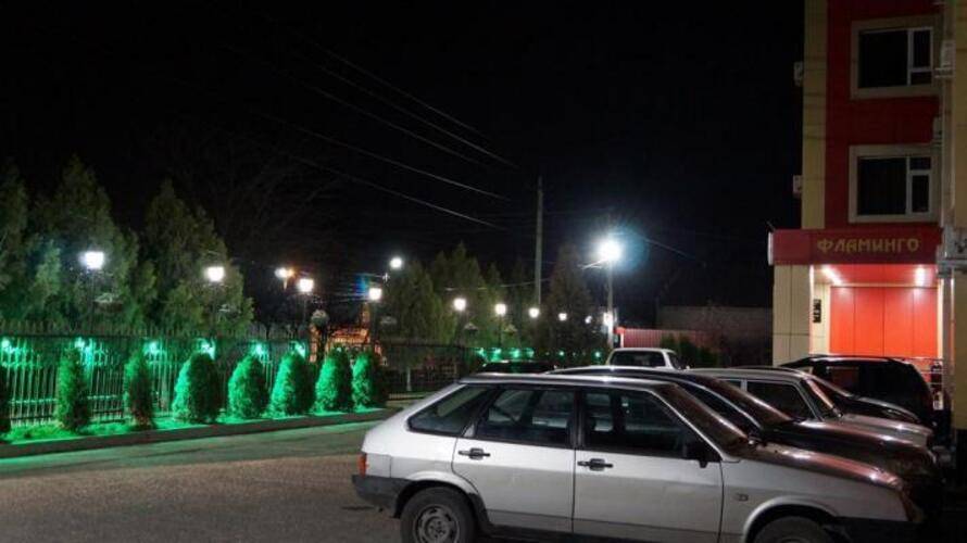Фламинго
