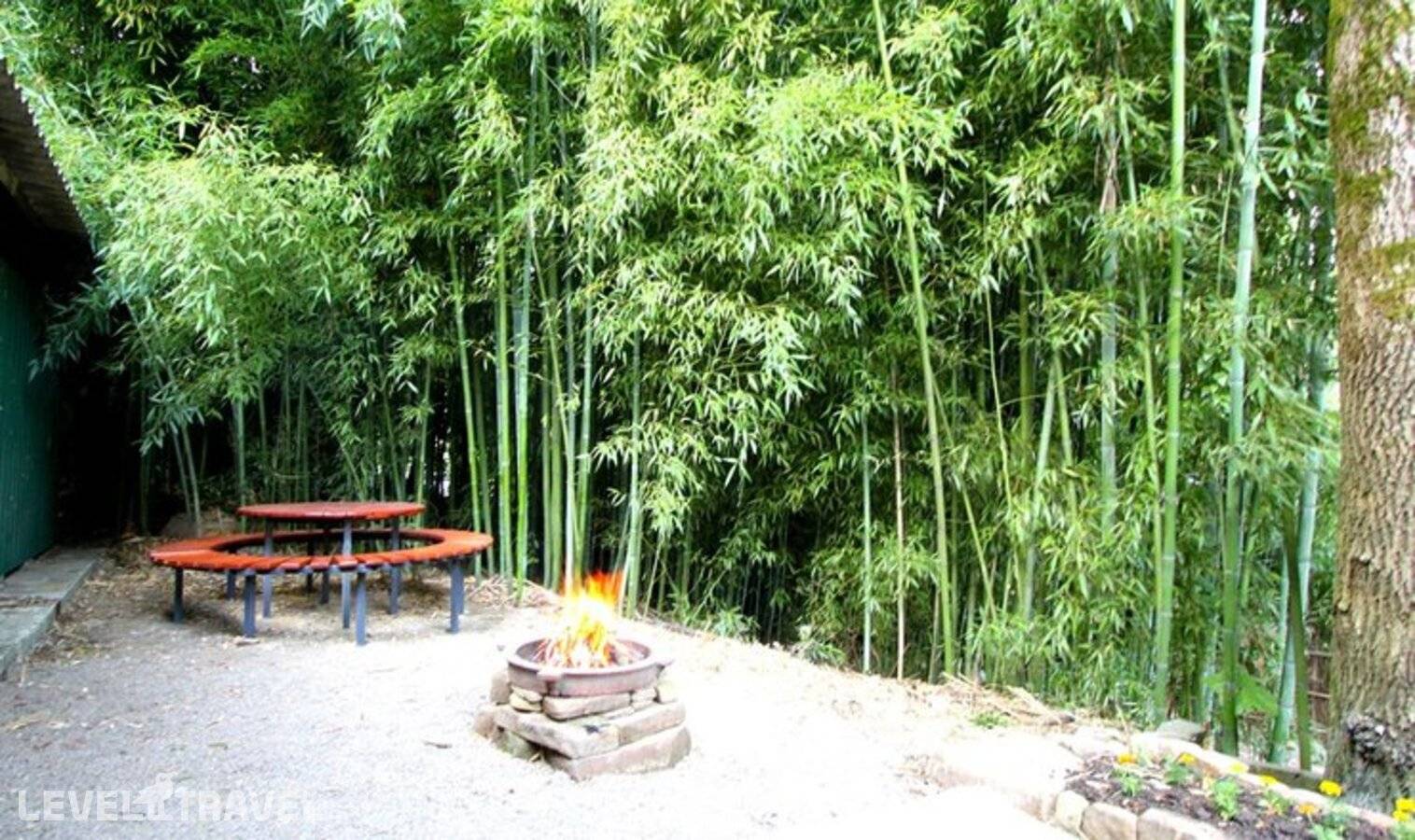 фотографии отеля Гостевой дом Бамбуковая Роща в Россия(Старая Мацеста) - фото №3