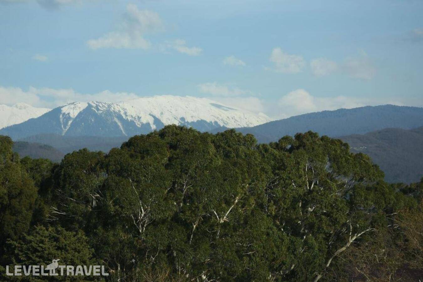 фотографии отеля Bazalt Club Hotel в Абхазия(Цандрыпш) - фото №34