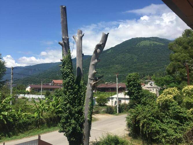 Гостевой дома Аламас