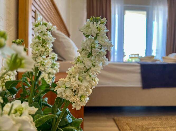 Отель Villa Дольче Вита