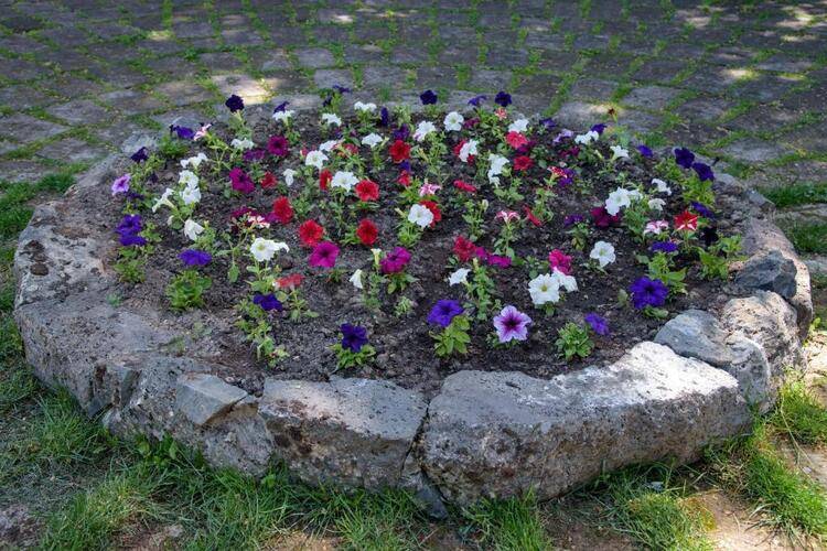 Arzni Resort and SPA