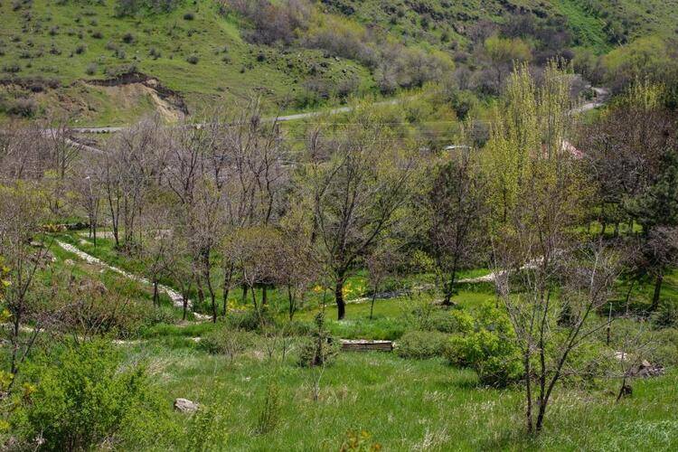 Arzni Resort and SPA