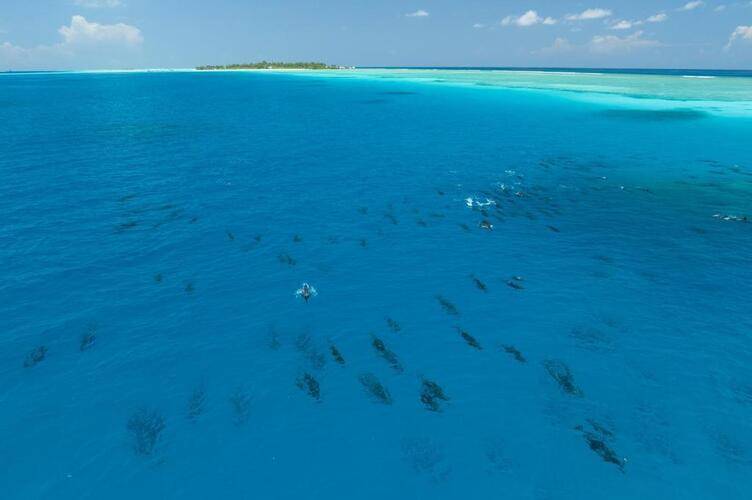 Rihiveli Maldives Resort