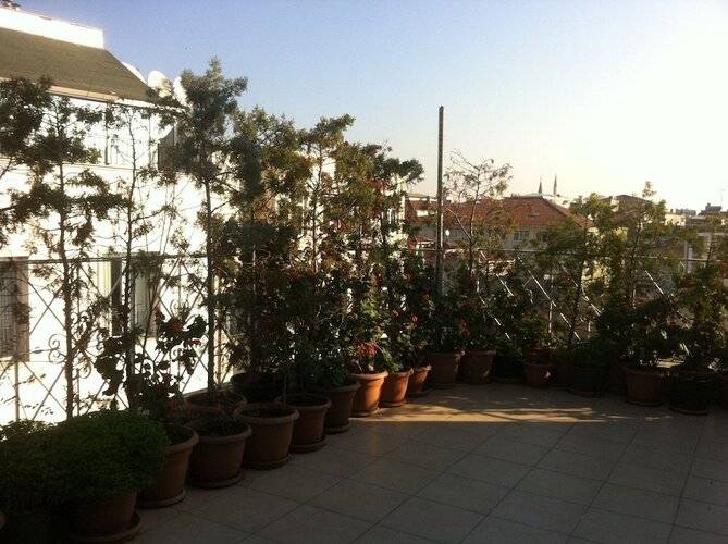 Hotel Linda