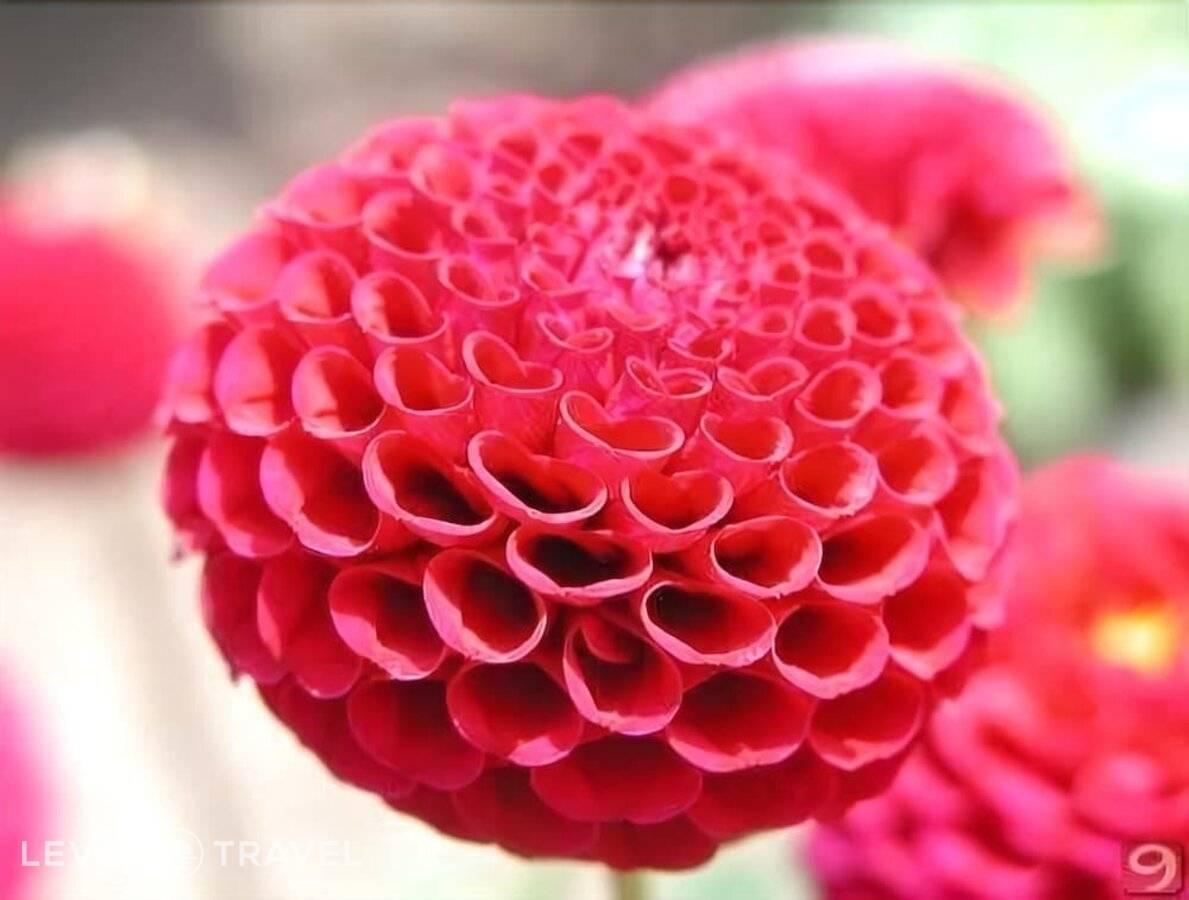 Изображение отеля 38
