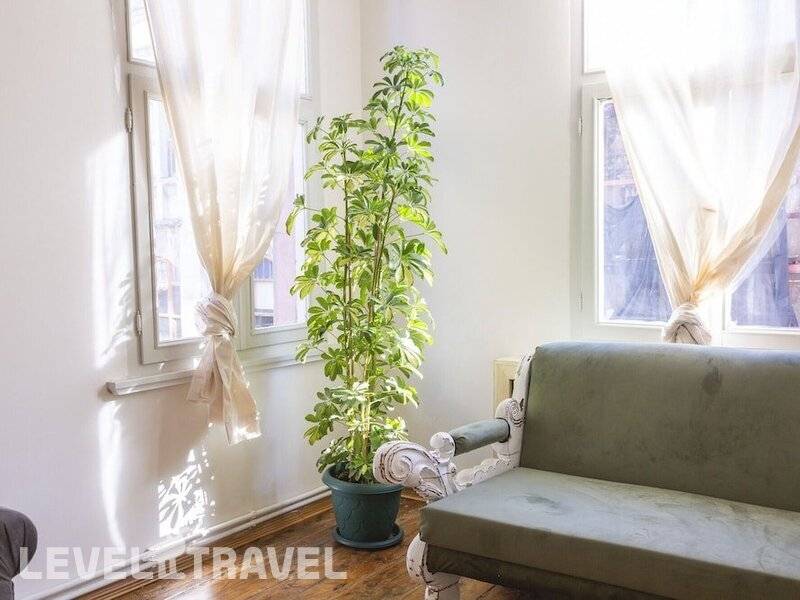 Фотография Popstel