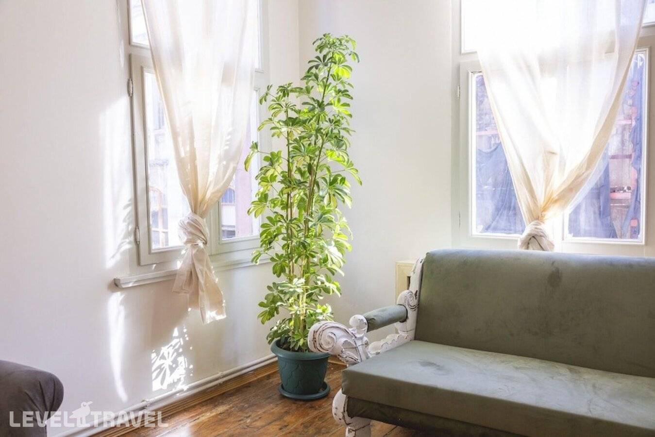 фотографии отеля Popstel в Турция(Фатих) - фото №10