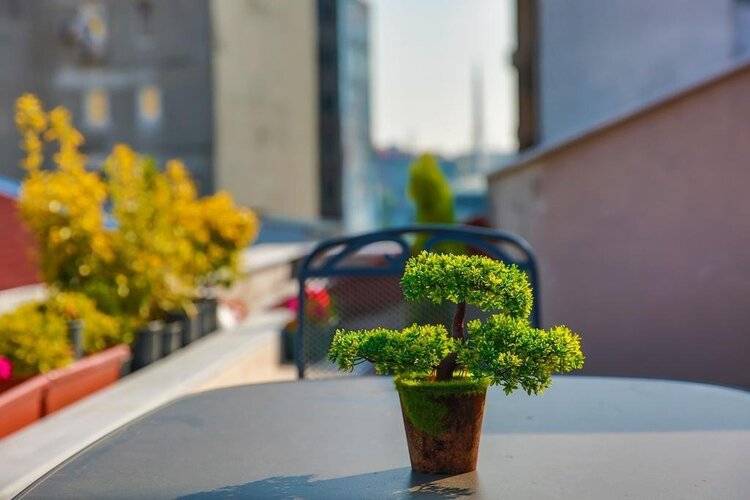 Flats Company - Karakoy Apartment