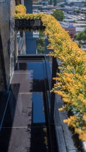Hotel Mardia