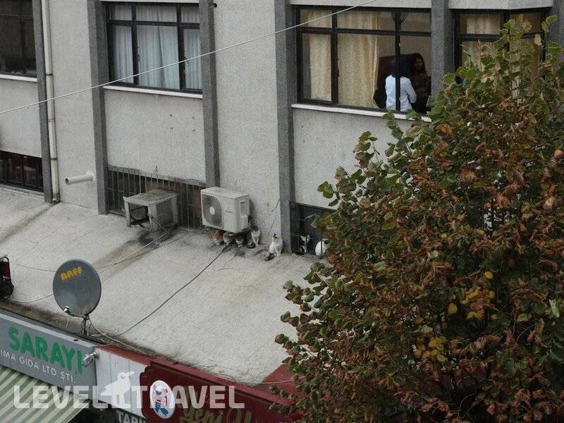 Фотография Bufes Hotel Фотография Bufes Hotel