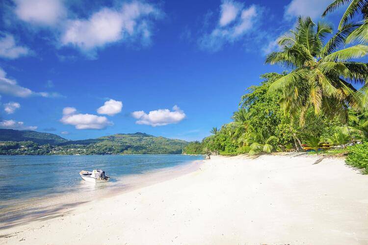 Pineapple Beach Villas (Adults Only 10+)