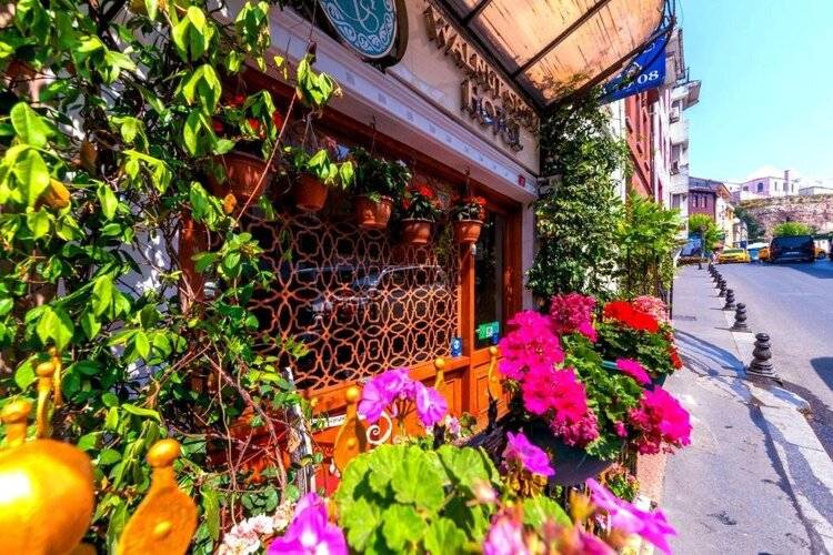 Walnut Shell Hotel