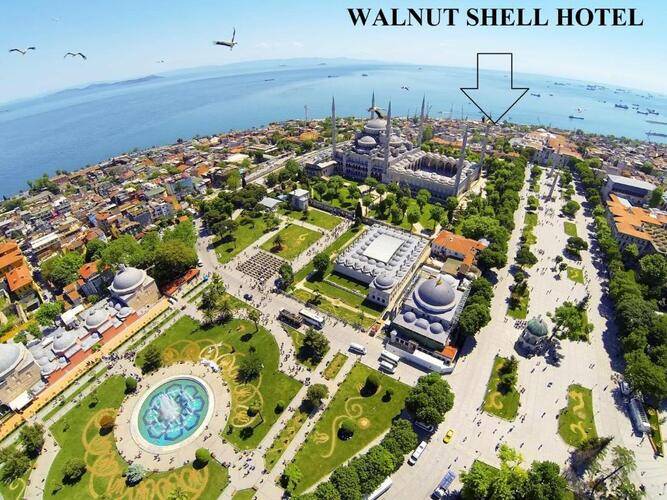 Walnut Shell Hotel
