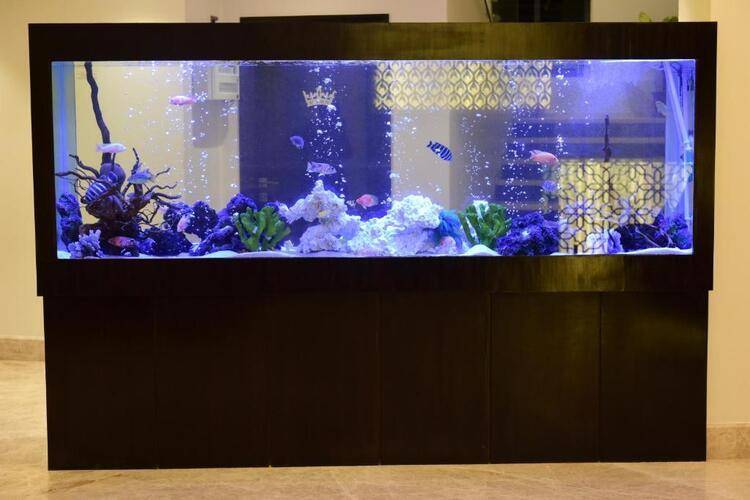 The Flora Grand