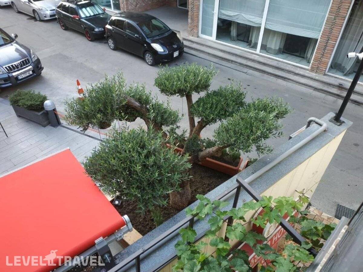 фотографии отеля Lions Avlabari в Грузия(Тбилиси) - фото №4