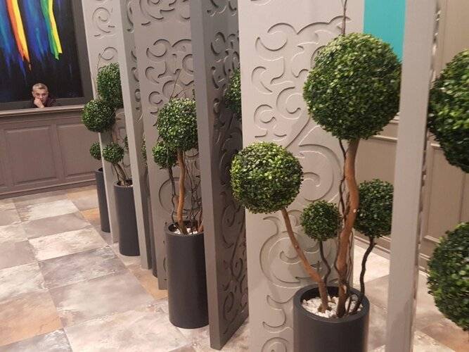 Agora Suites