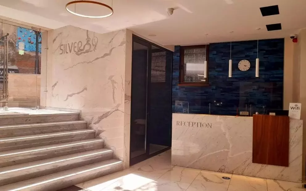 Silver — фото 2