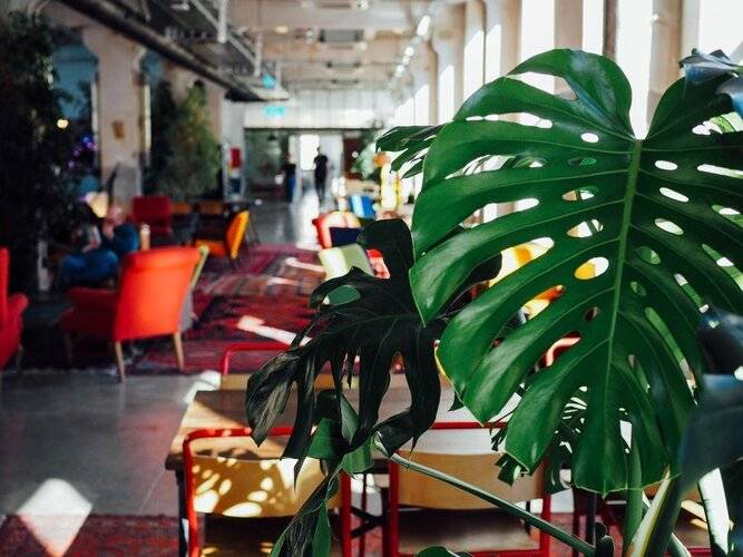 Fabrika Hostel & Suites
