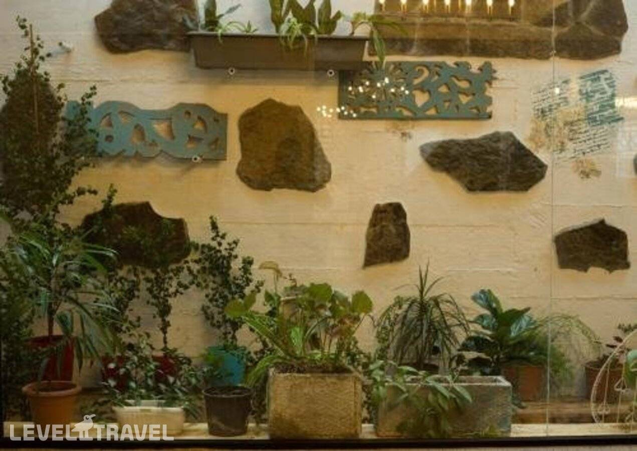 фотографии отеля Kenari в Грузия(Тбилиси) - фото №12