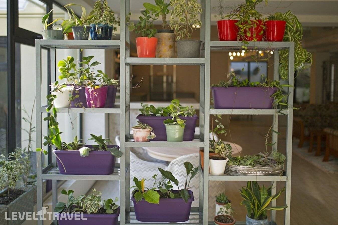 фотографии отеля Kenari в Грузия(Тбилиси) - фото №9