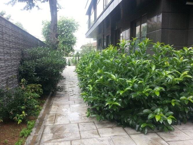Princess Residence Apart