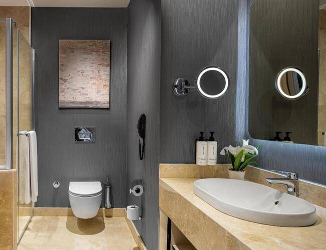 Crowne Plaza Istanbul Tuzla Viaport Marina