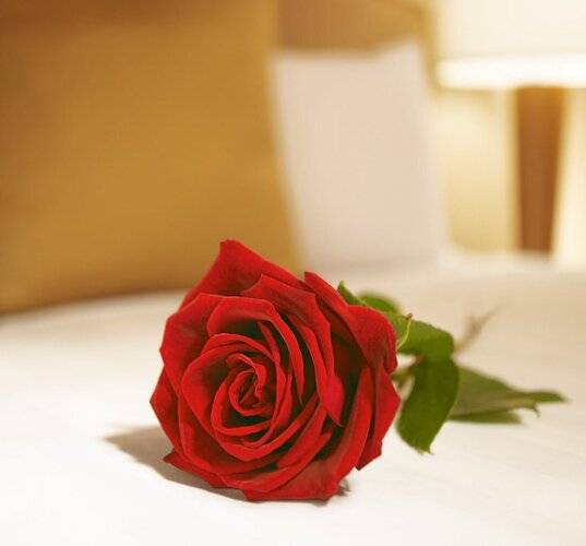 Hyatt Regency Bishkek
