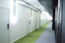 ACE