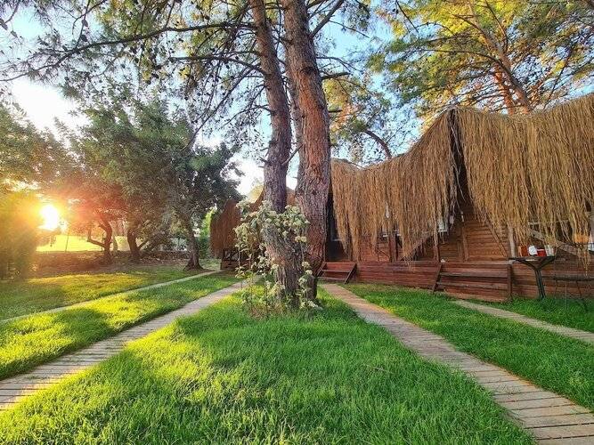 Green Pine Beach & Bungalows