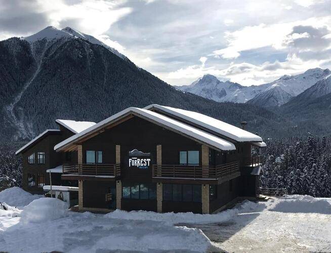 Forrest Chalet Отель